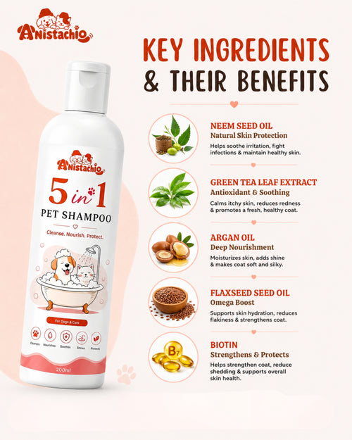 anistachio five in one shampoo ingredients plant based paraben free sulfate free
